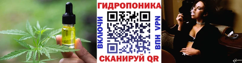 Cannafood конопля мега ONION Бологое