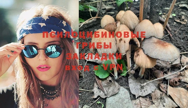 прущие крисы Анжеро-Судженск