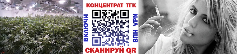 мега маркетплейс  хочу наркоту  Бологое  ТГК Wax 