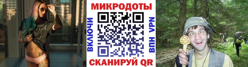 Галлюциногенные грибы MAGIC MUSHROOMS  закладки  блэк спрут сайт  Бологое 